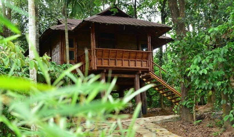 Tree hut kalpetta