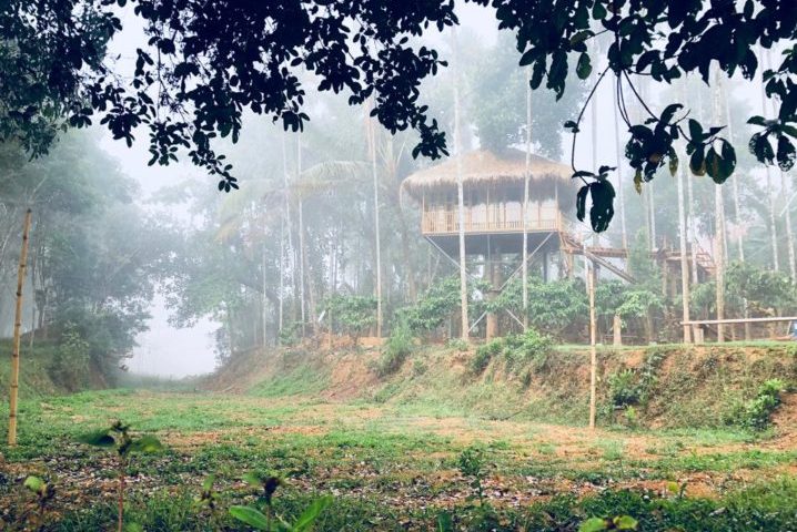 Hut Near Banasura