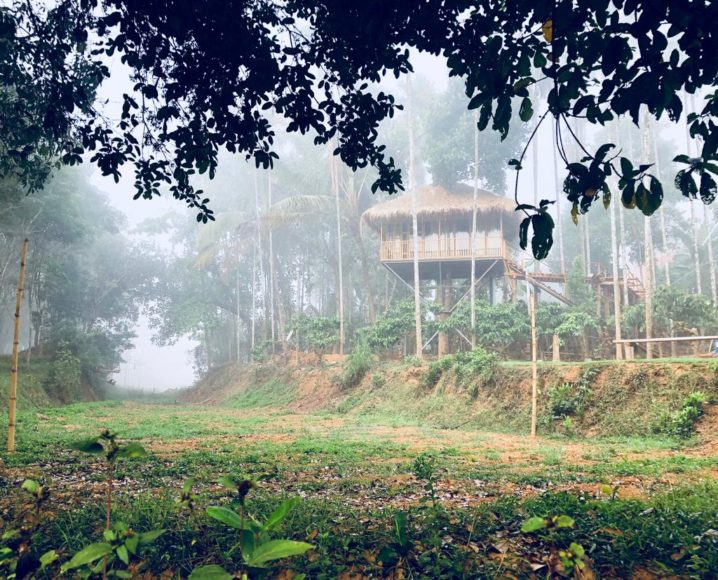 Hut Near Banasura