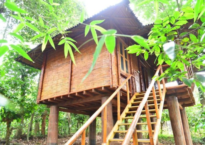 Bamboo hut kalpetta
