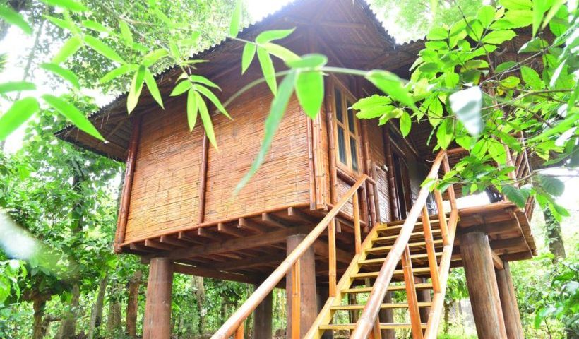 Bamboo hut kalpetta