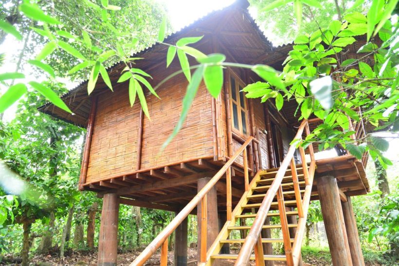 Bamboo hut kalpetta