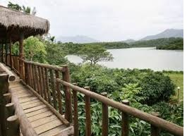 wayanad homestays