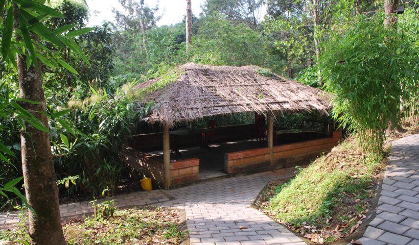 homestay near edakkal caves