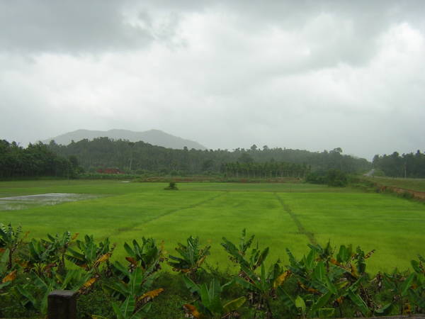 wayanad photos
