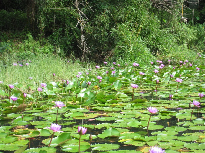 wayanad photos
