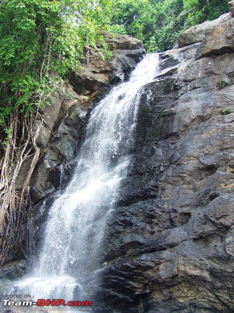 Wayanad photos and pictures