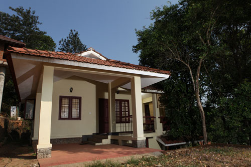 Forest Stay