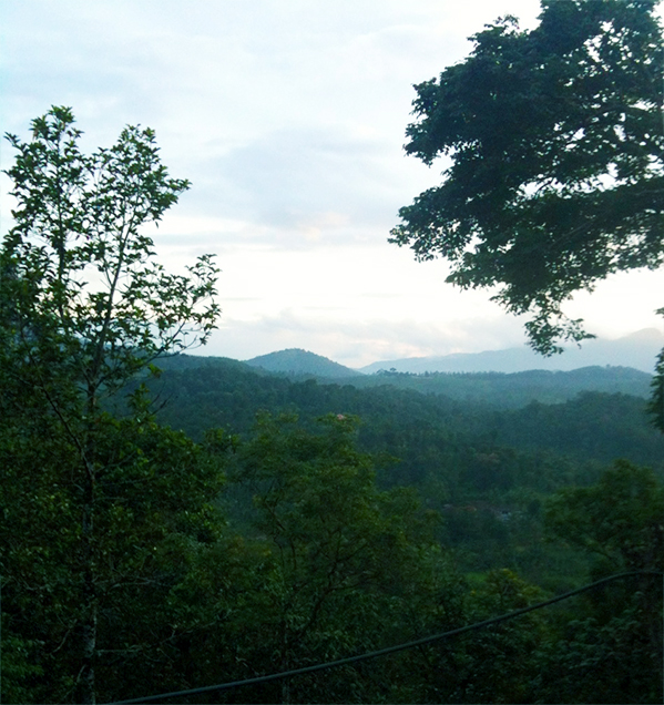 Resort kind homestay