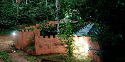 Forest Stay