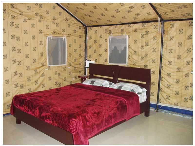 Forest Stay