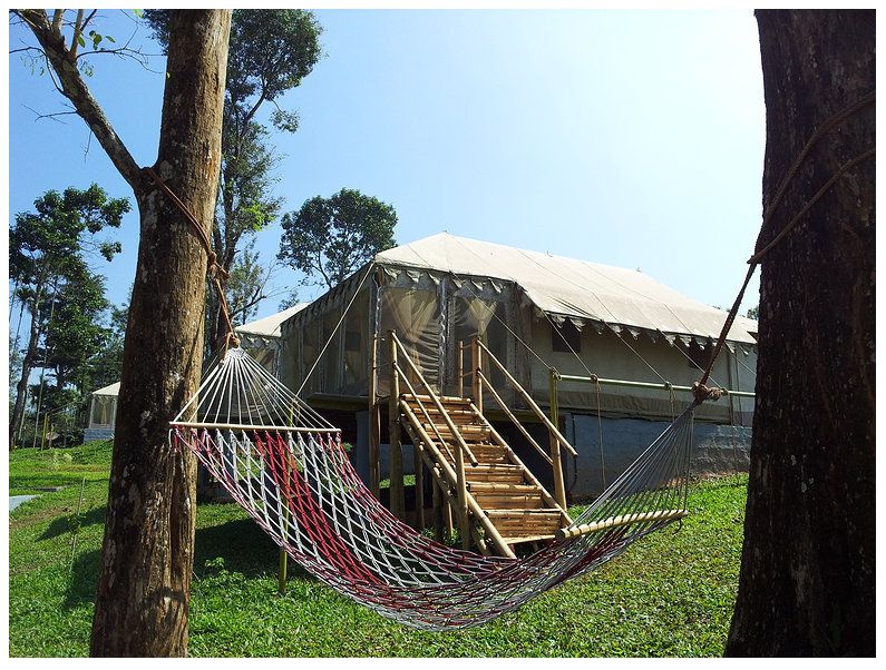 Forest Stay