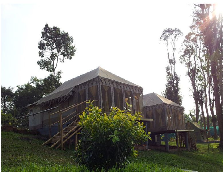 Luxury tent Resort
