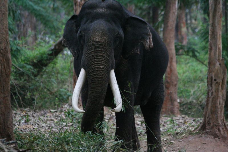 wayanad photos