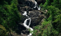 Wayanad tourist places