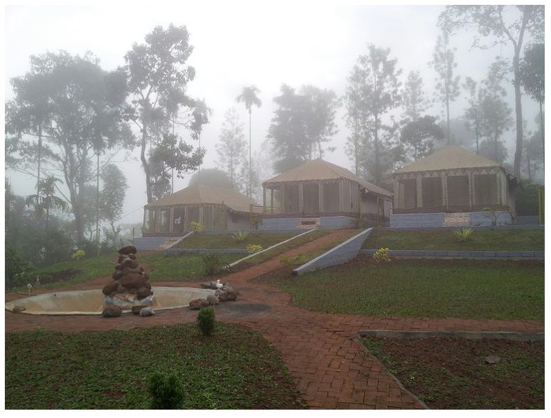 Forest Stay