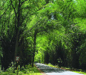 wayanad photos