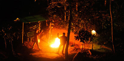 Forest Stay
