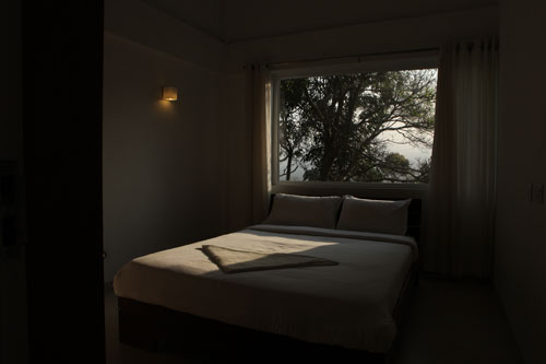 Forest Stay