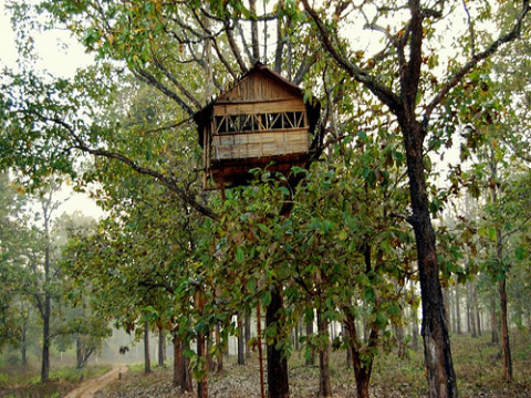 Wayanad photos and pictures