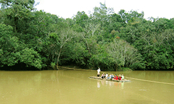 wayanad photos