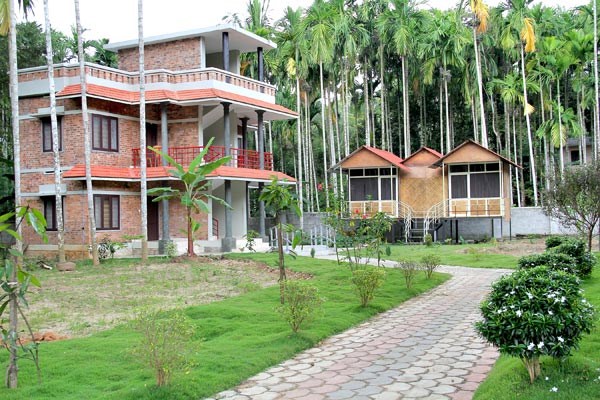 Resort kind homestay with swimming pool