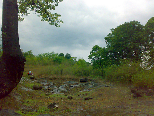 wayanad photos