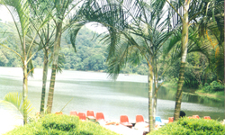 wayanad photos
