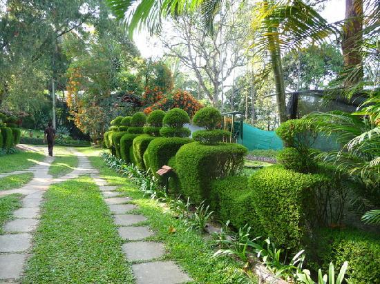 wayanad photos
