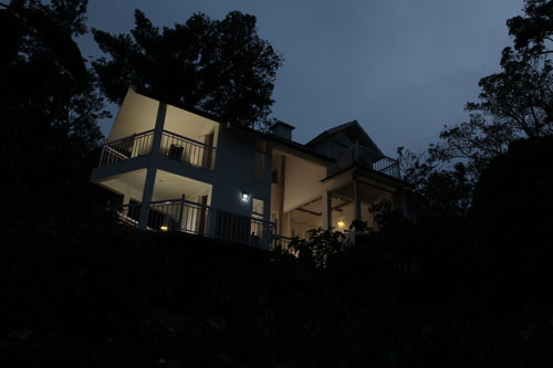 Forest Stay