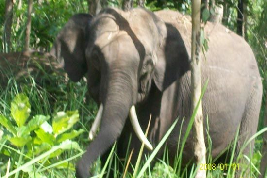 wayanad photos