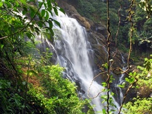 Wayanad tourist places