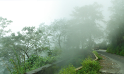 wayanad photos