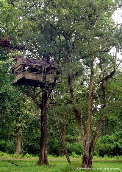 wayanad photos