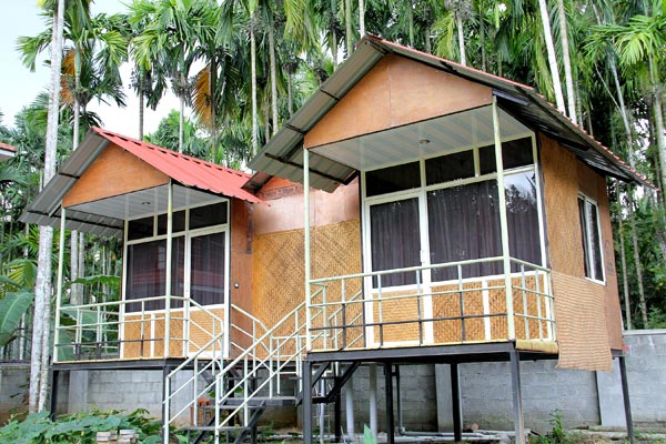 Resort kind homestay with swimming pool
