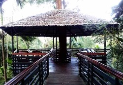 Resorts in wayanadWe can give good budget resorts in wayanad ,lake front resorts,resorts in vythiri,Resorts inside the forest.