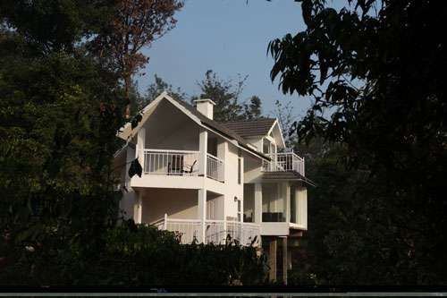 Forest Stay