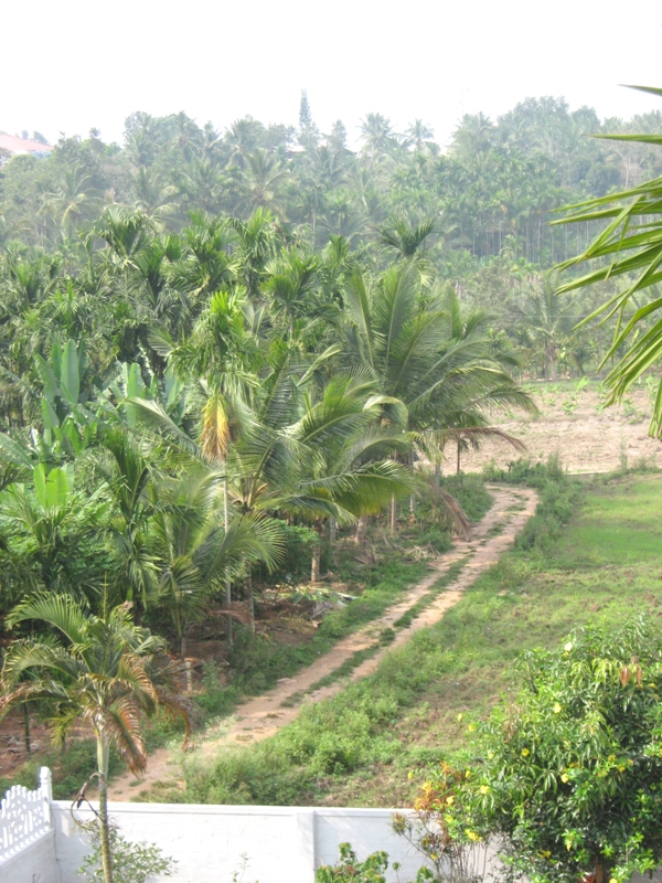 Homestays in sulthan bathery