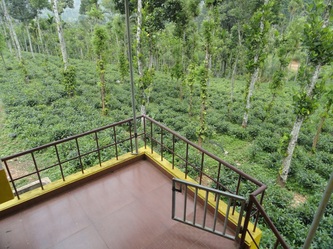 Edakkal Homestay