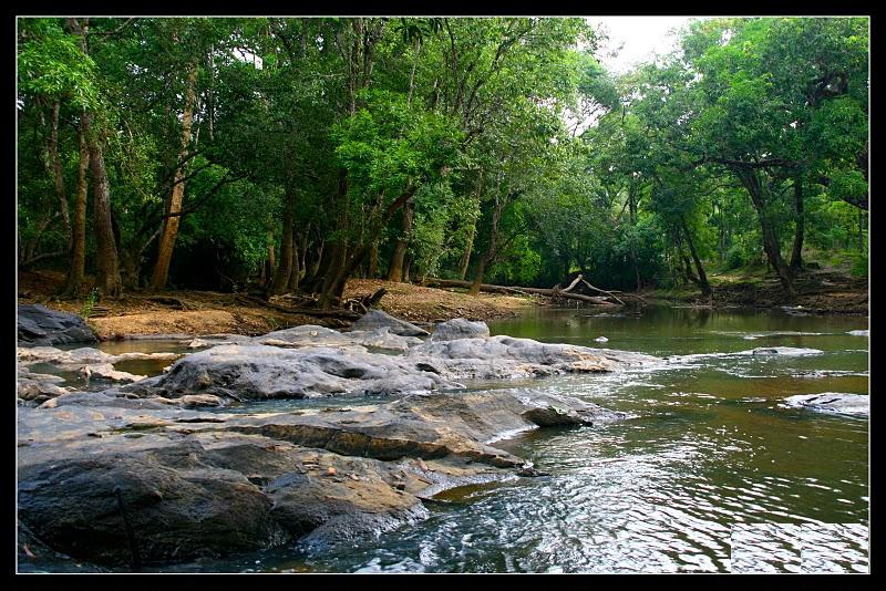 wayanad photos