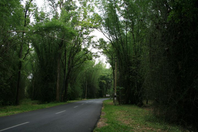 Wayanad photos and pictures