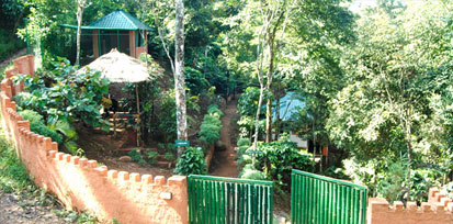 Forest Stay