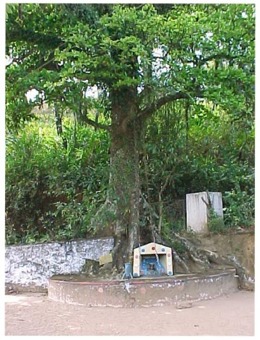 wayanad photos