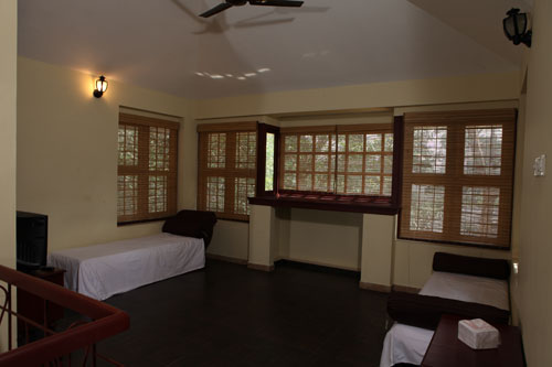 Forest Stay