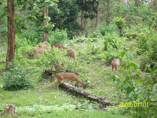 wayanad photos