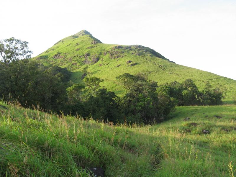 wayanad photos