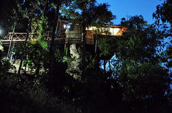 List of tree house in wayanad resorts