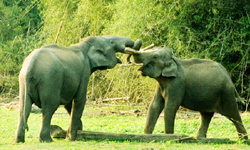 wayanad photos