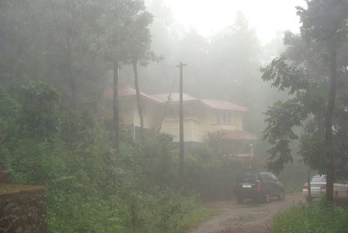 Forest Stay