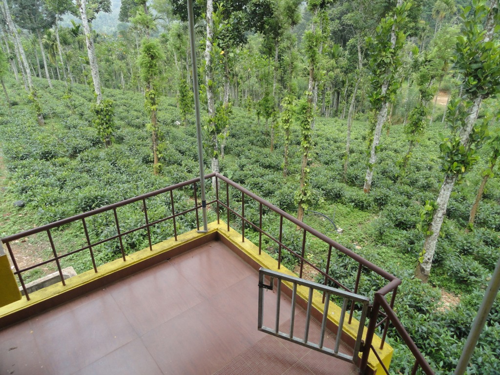 HOMESTAY IN WAYANAD
